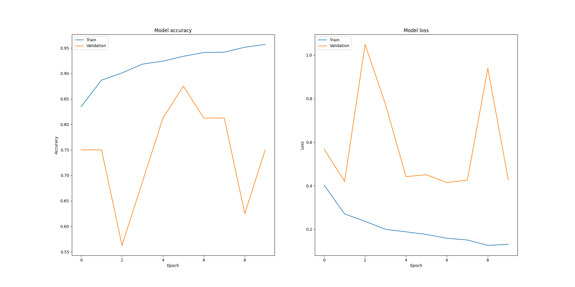 Accuracy and Loss of the model