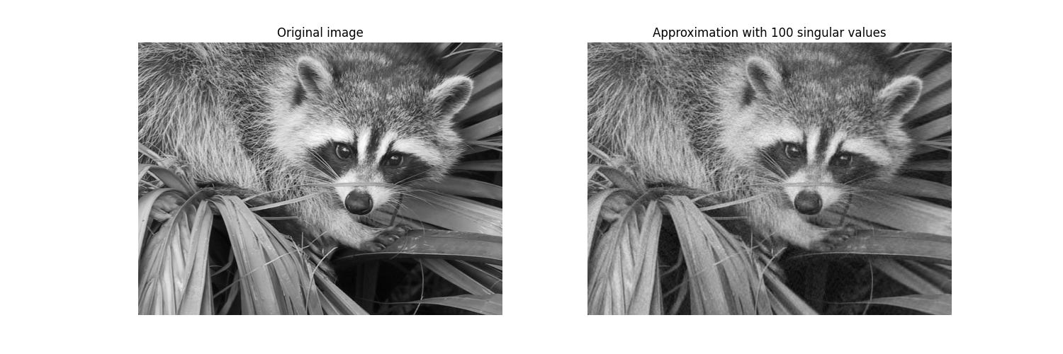 Original image vs reconstructed image with 100 singular values